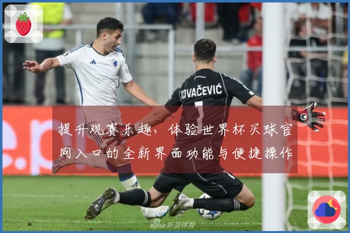 提升观赛乐趣，体验世界杯买球官网入口的全新界面功能与便捷操作