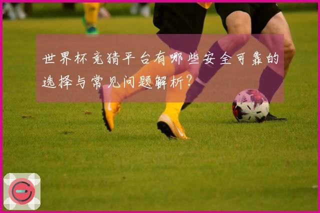 世界杯竞猜平台有哪些安全可靠的选择与常见问题解析？