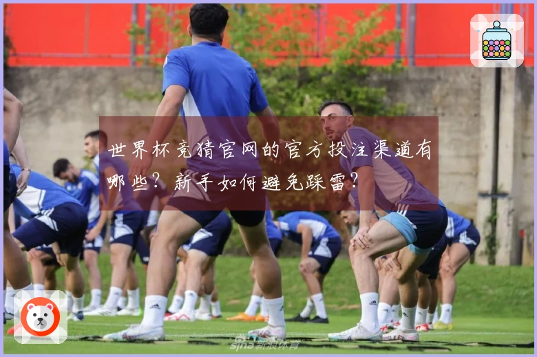 世界杯竞猜官网的官方投注渠道有哪些？新手如何避免踩雷？