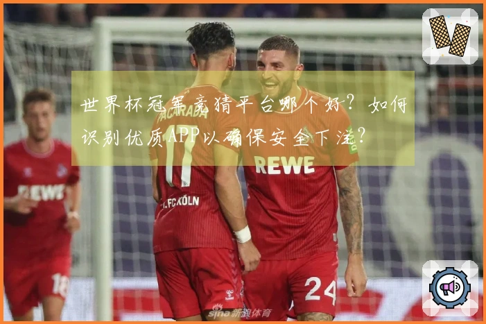 世界杯冠军竞猜平台哪个好？如何识别优质APP以确保安全下注？
