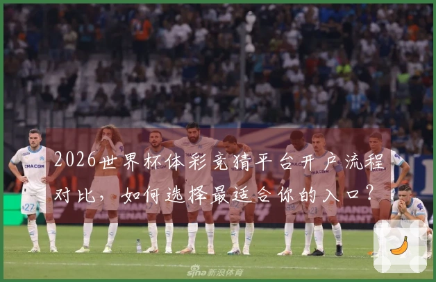 2026世界杯体彩竞猜平台开户流程对比，如何选择最适合你的入口？
