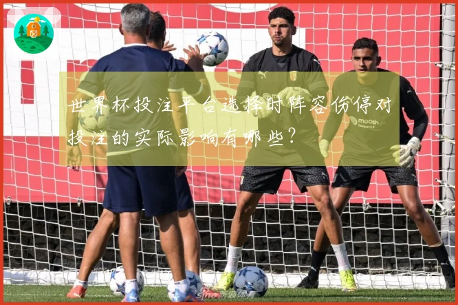世界杯投注平台选择时阵容伤停对投注的实际影响有哪些？