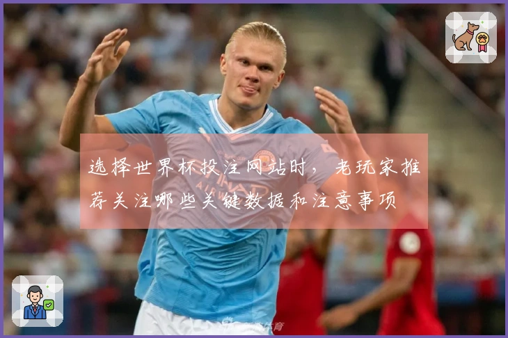 选择世界杯投注网站时，老玩家推荐关注哪些关键数据和注意事项