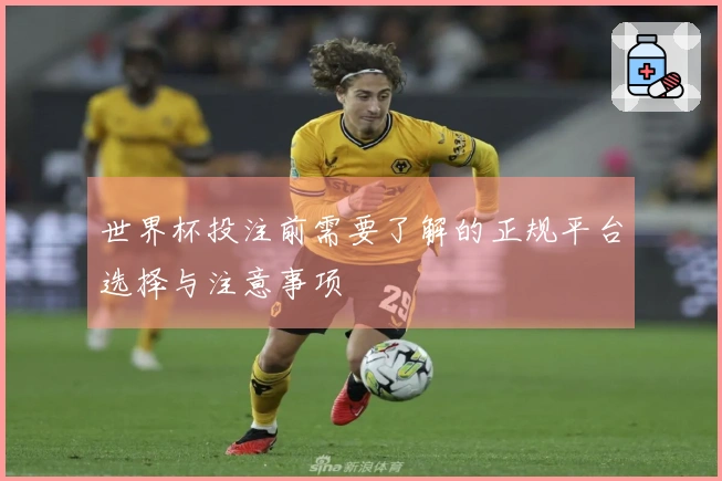 世界杯投注前需要了解的正规平台选择与注意事项