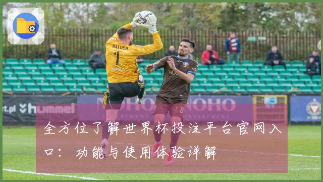 全方位了解世界杯投注平台官网入口:功能与使用体验详解