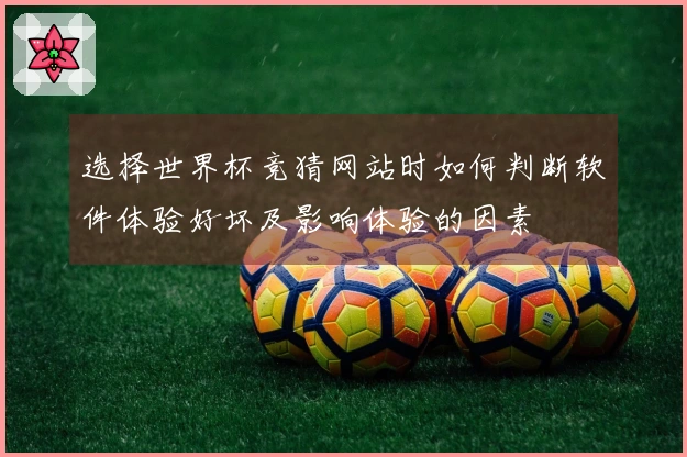 选择世界杯竞猜网站时如何判断软件体验好坏及影响体验的因素