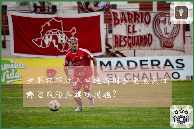 世界杯下注入口选择时应重点关注哪些风险和提防措施？