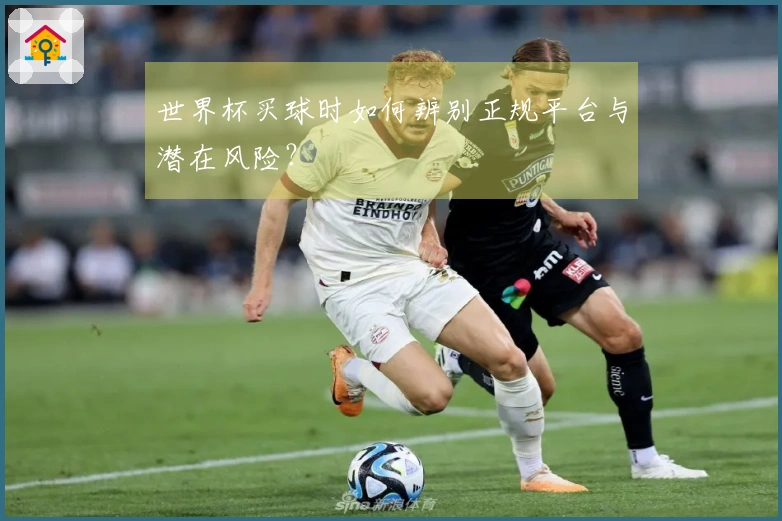 世界杯买球时如何辨别正规平台与潜在风险？