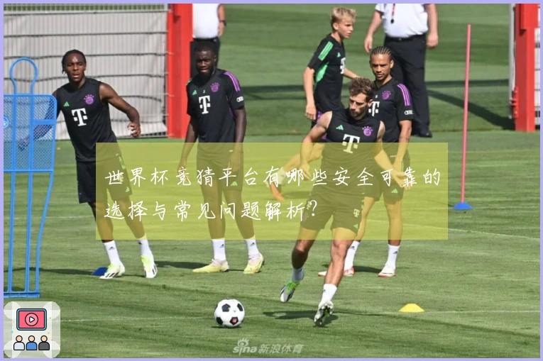 世界杯竞猜平台有哪些安全可靠的选择与常见问题解析？