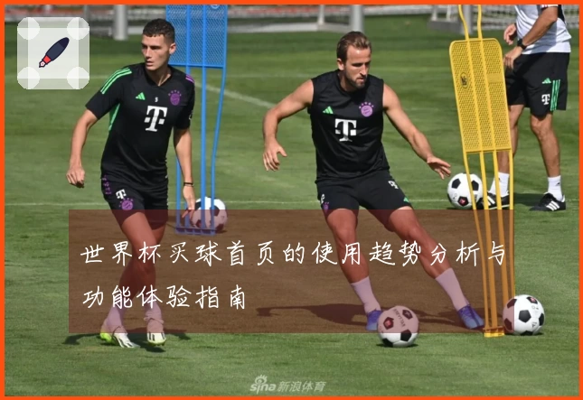 世界杯买球首页的使用趋势分析与功能体验指南