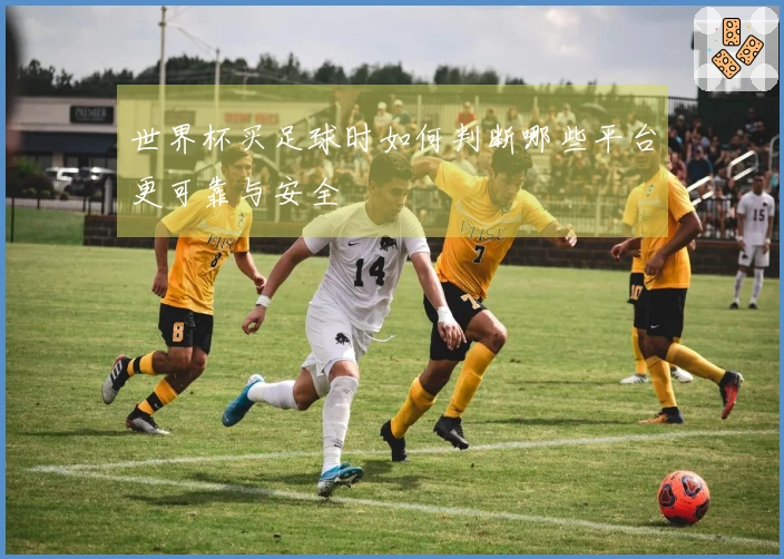 世界杯买足球时如何判断哪些平台更可靠与安全
