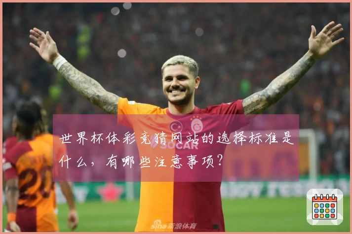 世界杯体彩竞猜网站的选择标准是什么，有哪些注意事项？