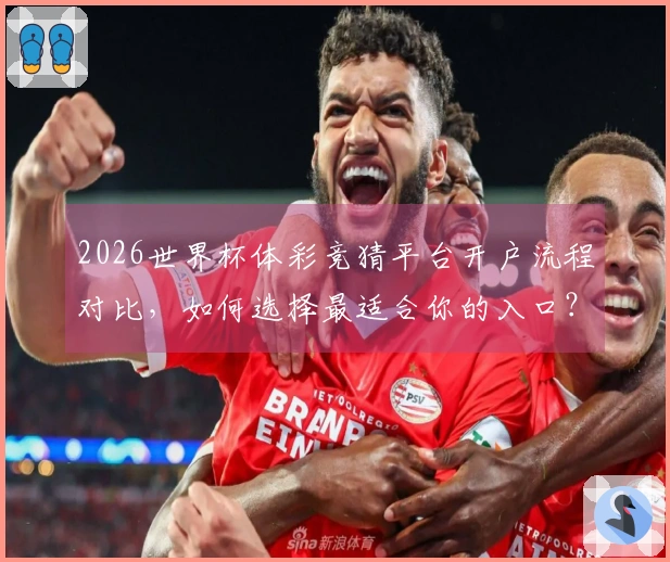 2026世界杯体彩竞猜平台开户流程对比，如何选择最适合你的入口？