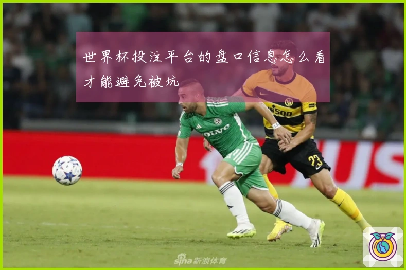世界杯投注平台的盘口信息怎么看才能避免被坑