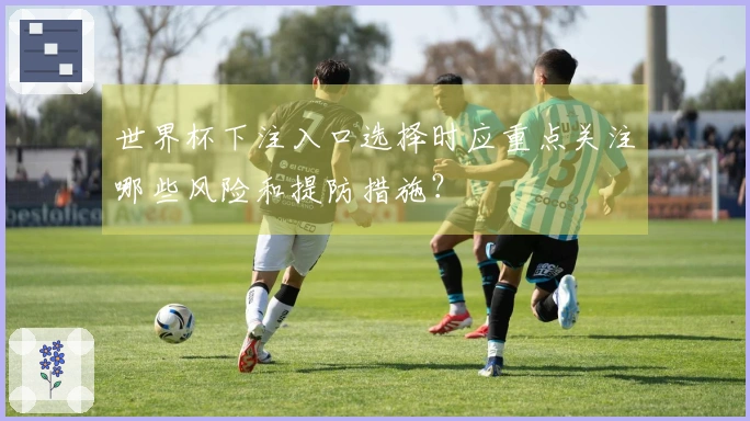 世界杯下注入口选择时应重点关注哪些风险和提防措施？