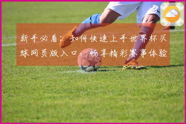 新手必看：如何快速上手世界杯买球网页版入口，畅享精彩赛事体验