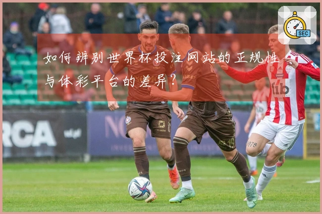 如何辨别世界杯投注网站的正规性与体彩平台的差异？