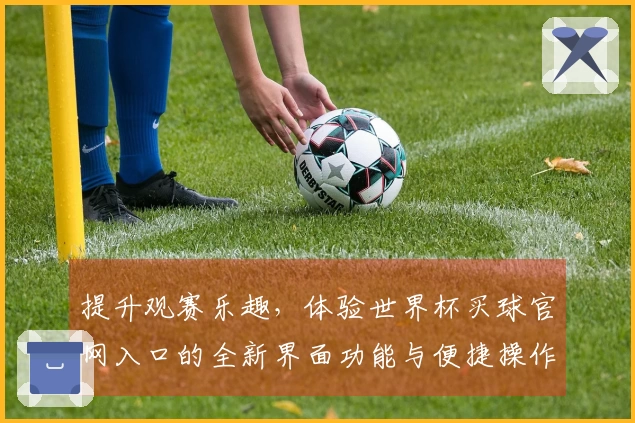 提升观赛乐趣，体验世界杯买球官网入口的全新界面功能与便捷操作