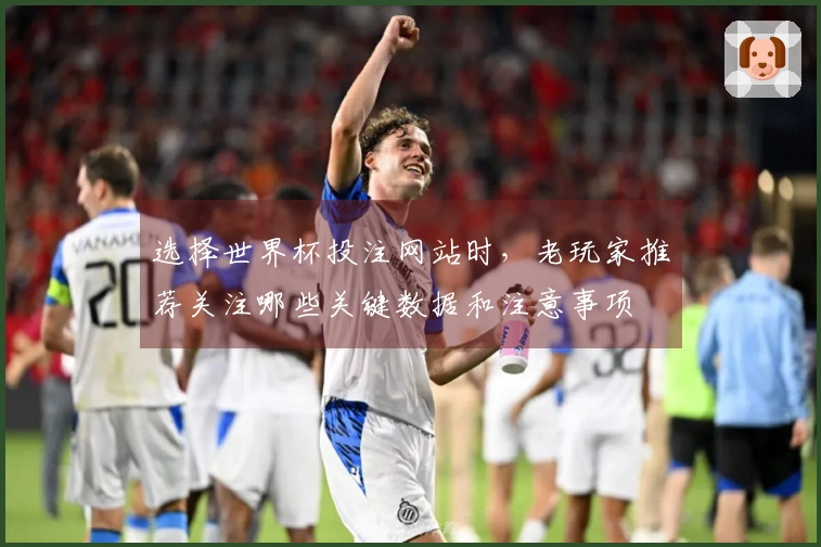 选择世界杯投注网站时，老玩家推荐关注哪些关键数据和注意事项