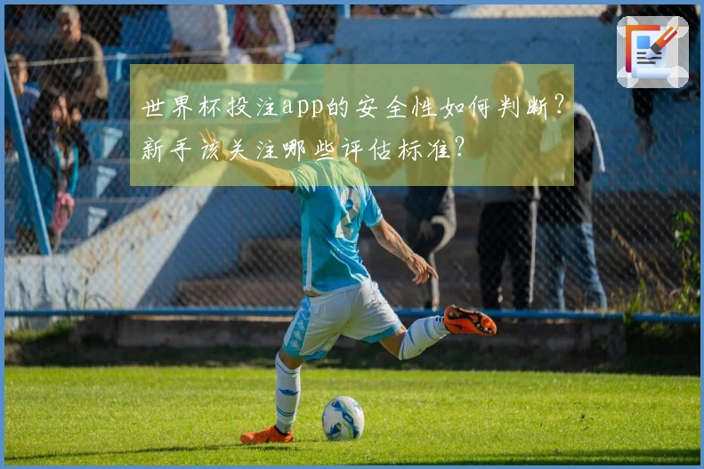 世界杯投注app的安全性如何判断？新手该关注哪些评估标准？