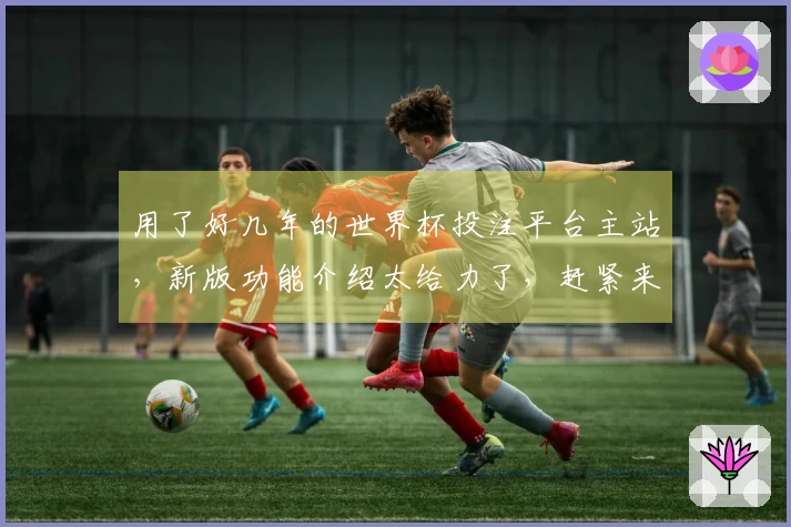 用了好几年的世界杯投注平台主站，新版功能介绍太给力了，赶紧来体验！