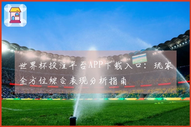 世界杯投注平台APP下载入口：玩家全方位综合表现分析指南