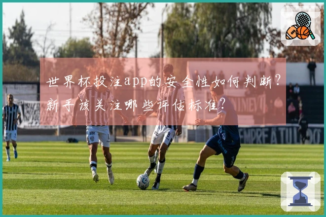 世界杯投注app的安全性如何判断？新手该关注哪些评估标准？