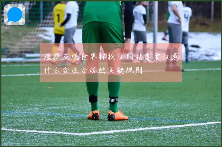 选择正规世界杯投注网站需要注意什么合法合规的关键规则