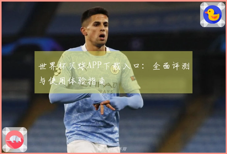 世界杯买球APP下载入口：全面评测与使用体验指南