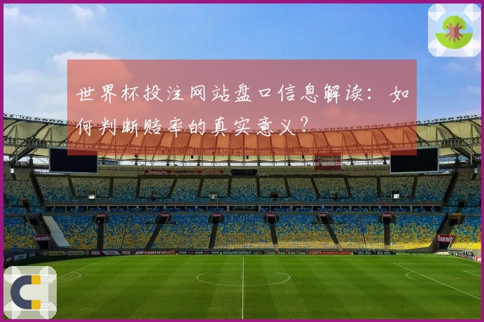 世界杯投注网站盘口信息解读：如何判断赔率的真实意义？