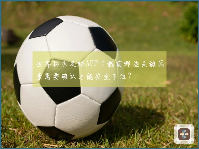 世界杯买足球APP下载前哪些关键因素需要确认才能安全下注？