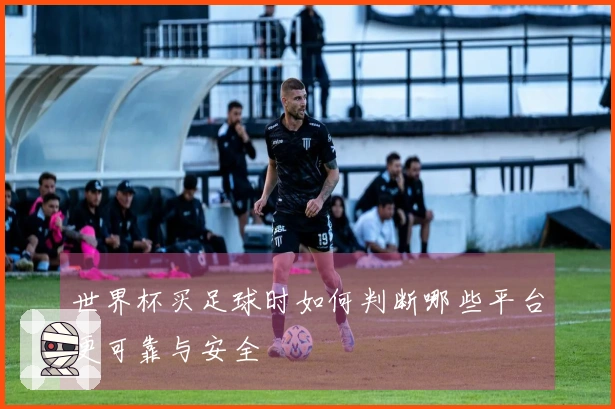 世界杯买足球时如何判断哪些平台更可靠与安全