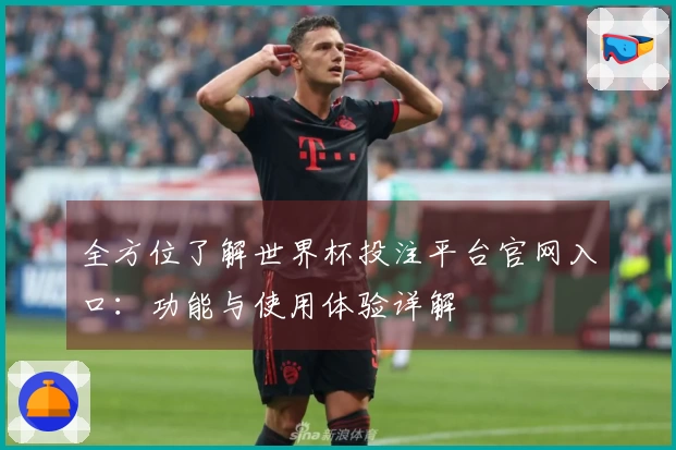全方位了解世界杯投注平台官网入口：功能与使用体验详解