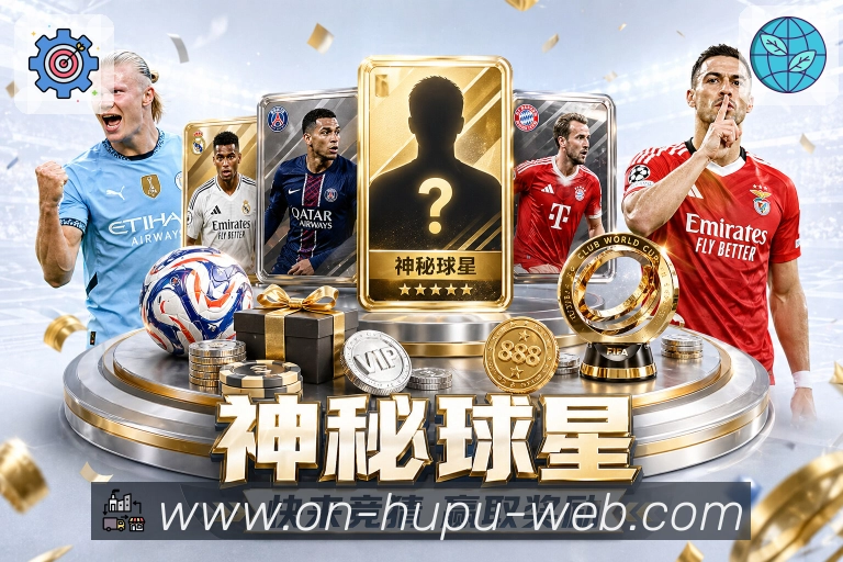 奖项证书